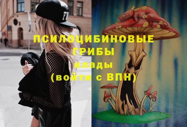 сатива Абдулино