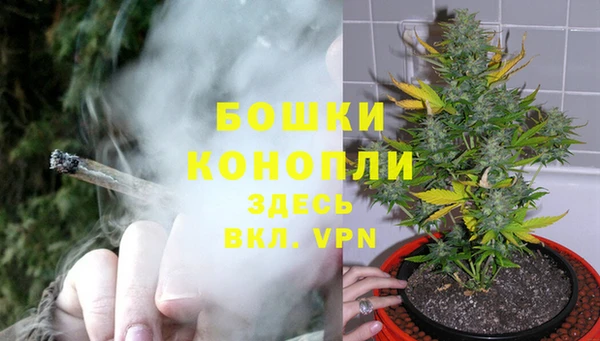 сатива Абдулино
