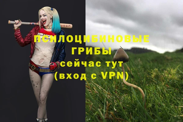 спайс Новокубанск