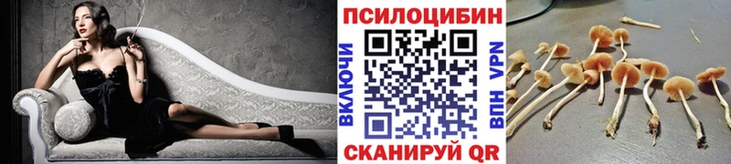 Галлюциногенные грибы мухоморы kraken как зайти Братск продажа наркотиков