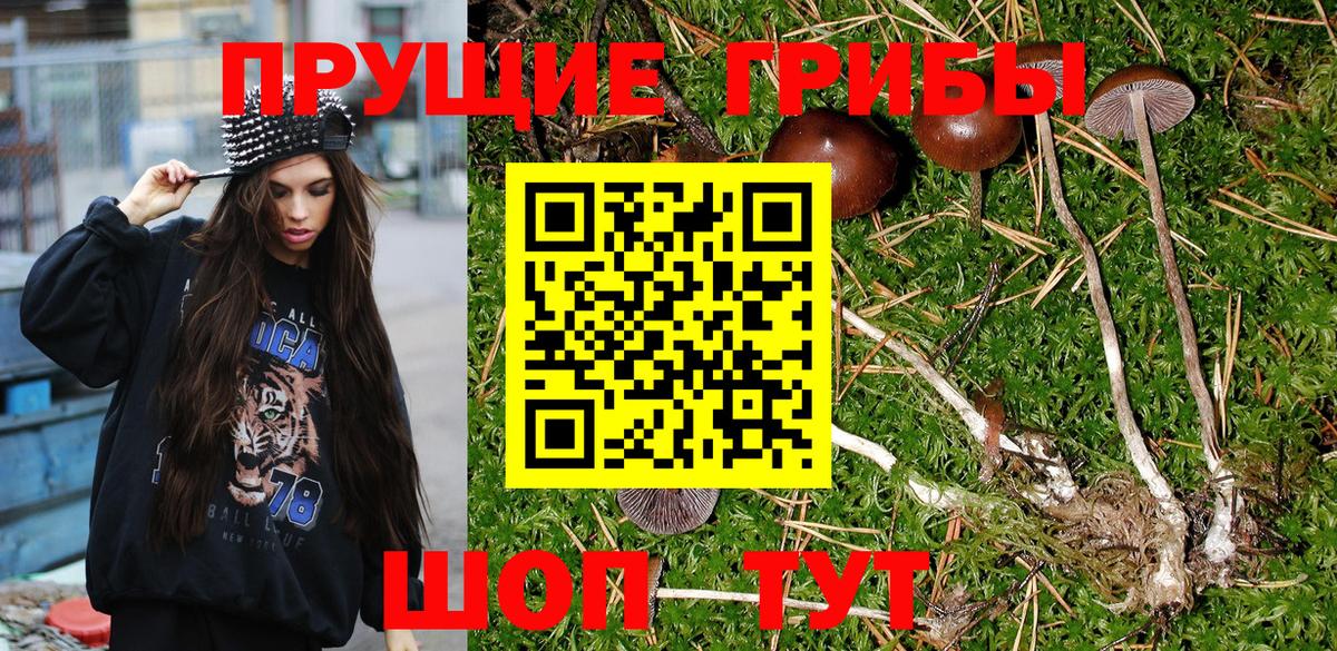 Галлюциногенные грибы MAGIC MUSHROOMS Братск